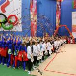 Турнир «Алина» 2014 - 88 