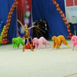 Турнир «Алина» 2014 - 94 