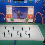 Турнир «Алина» 2013 - 19 