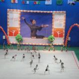 Турнир «Алина» 2013 - 26 